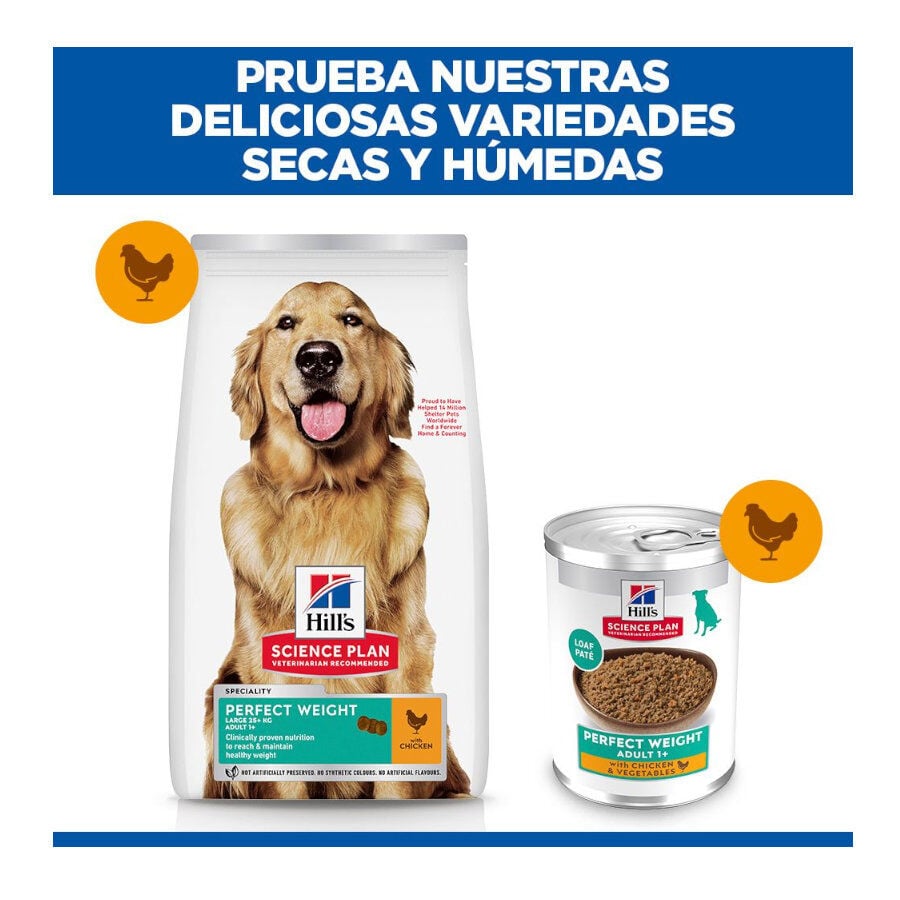 12 kg Hill's Science Plan Perfect Weight Adult Large Pollo pienso para perros, , large indicador imagen numero 9