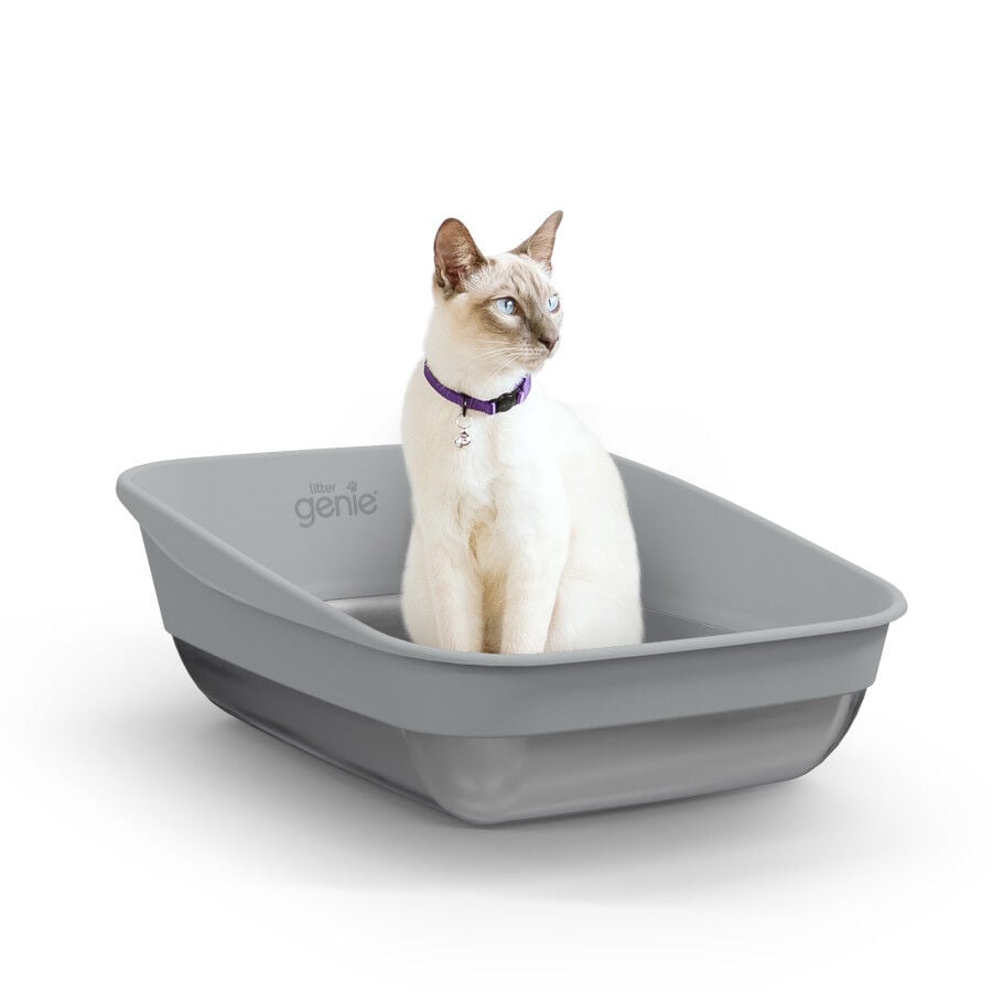 Litter Genie Bandeja Sanitaria LitterLocker Platinum para gatos, , large Imagen numero 5