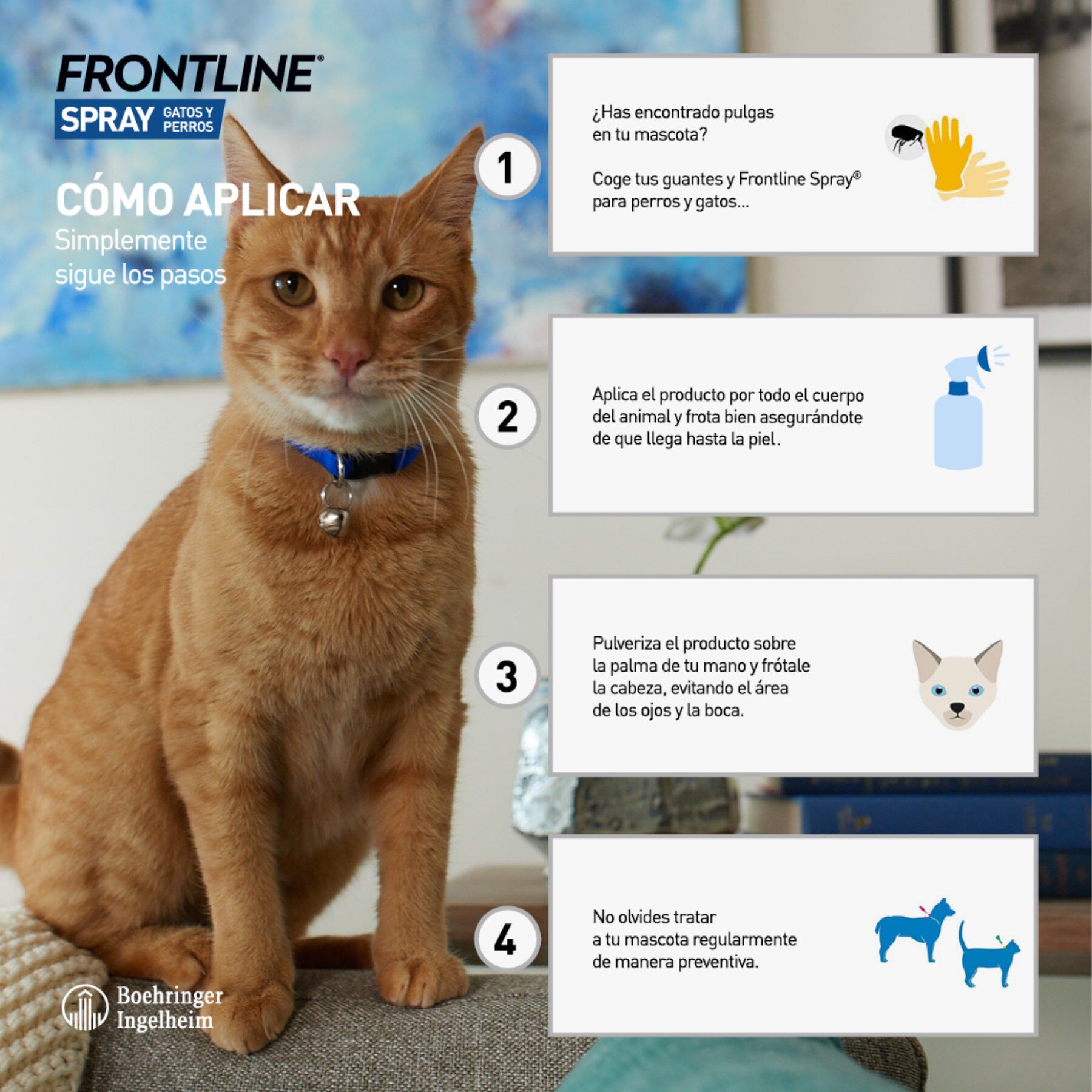 Frontline Spray Antiparasitario para perros y gatos, , large indicador imagen numero 3