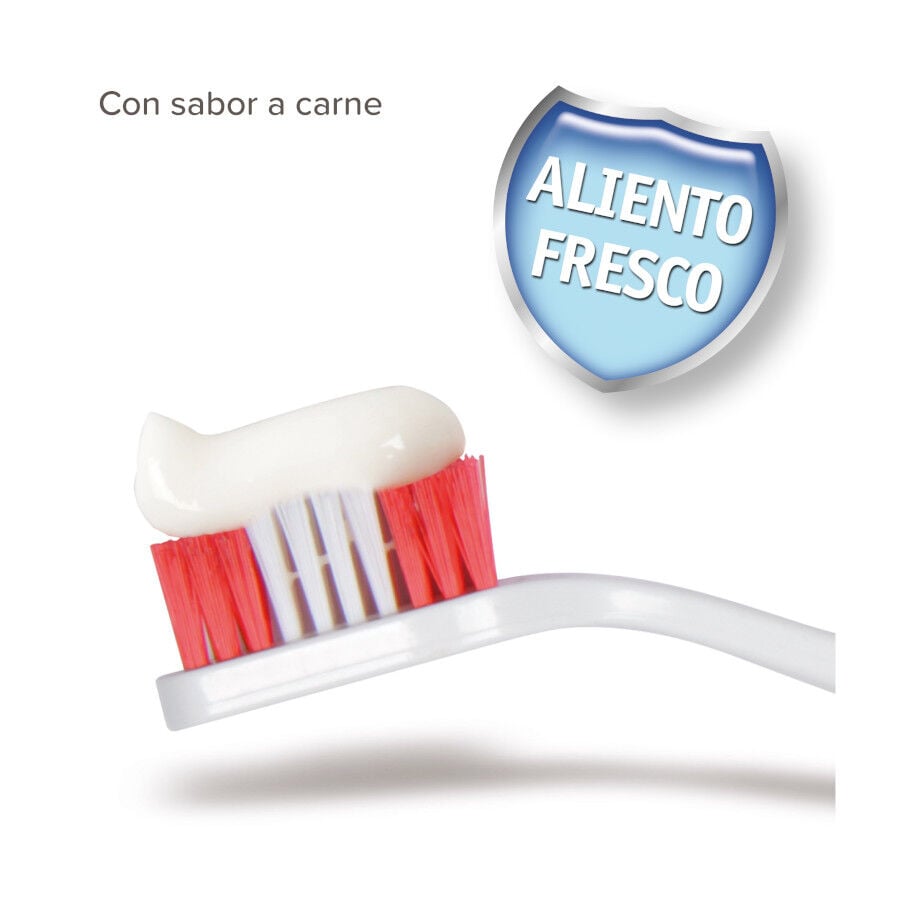 Beaphar Kit Dental para perros, , large indicador imagen numero 2