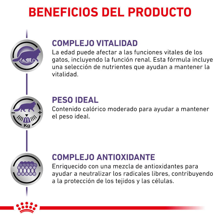 12 sobres x 85 g Royal Canin Mature Consult Balance Pat&eacute; sobre para gatos, , large Imagen numero 3