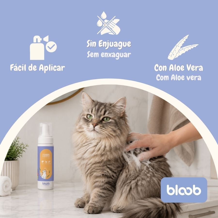 Bloob Champ&uacute; Seco en Espuma para gatos, , large Imagen numero 3