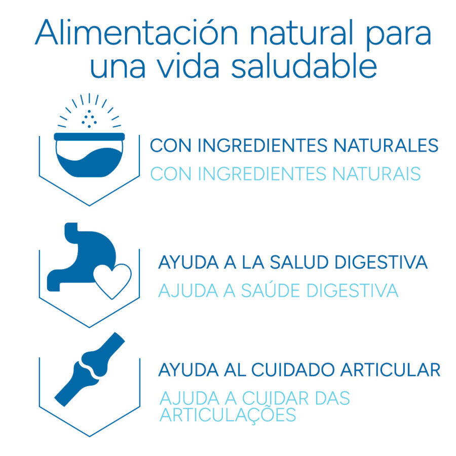 12 kg Criadores Cient&iacute;fico Adulto Maxi Pienso Pollo para perros, , large indicador imagen numero 6