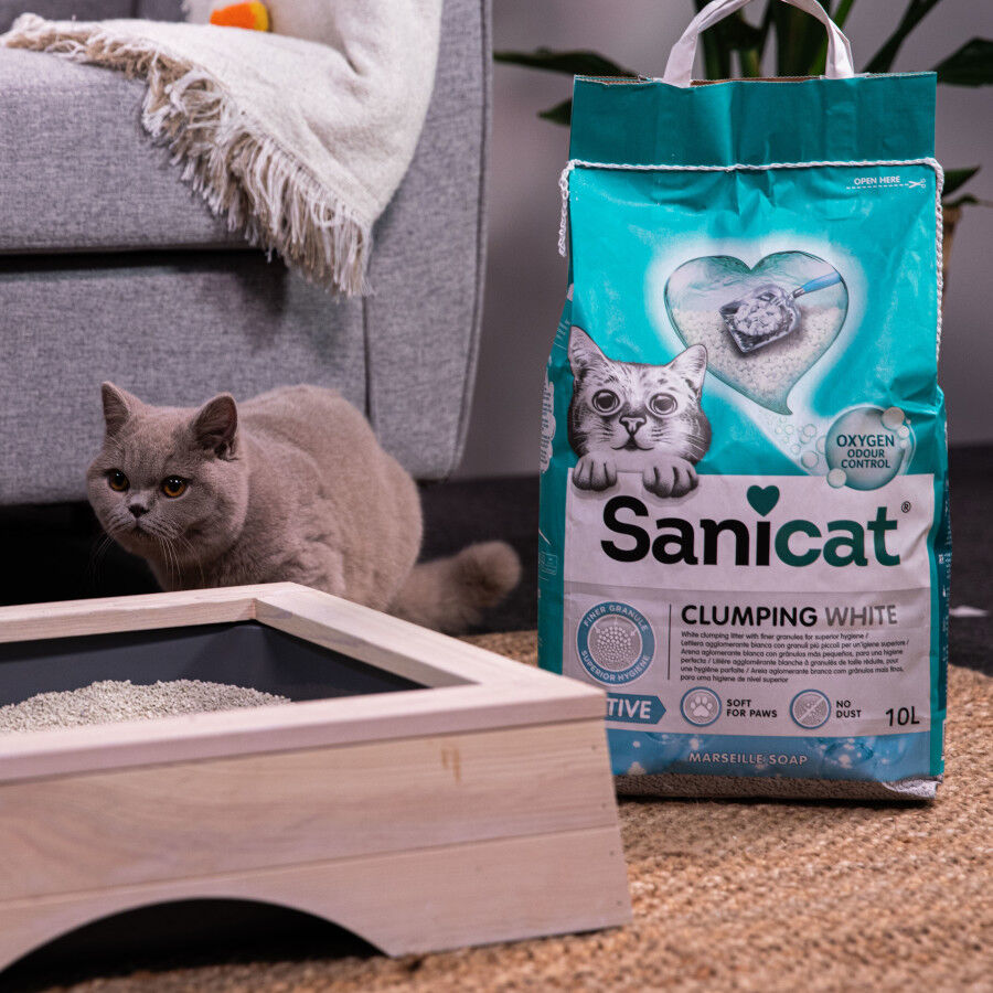 10 L Sanicat Cumpling White Marseille Active Arena Aglomerante para gatos, , large Imagen numero 4