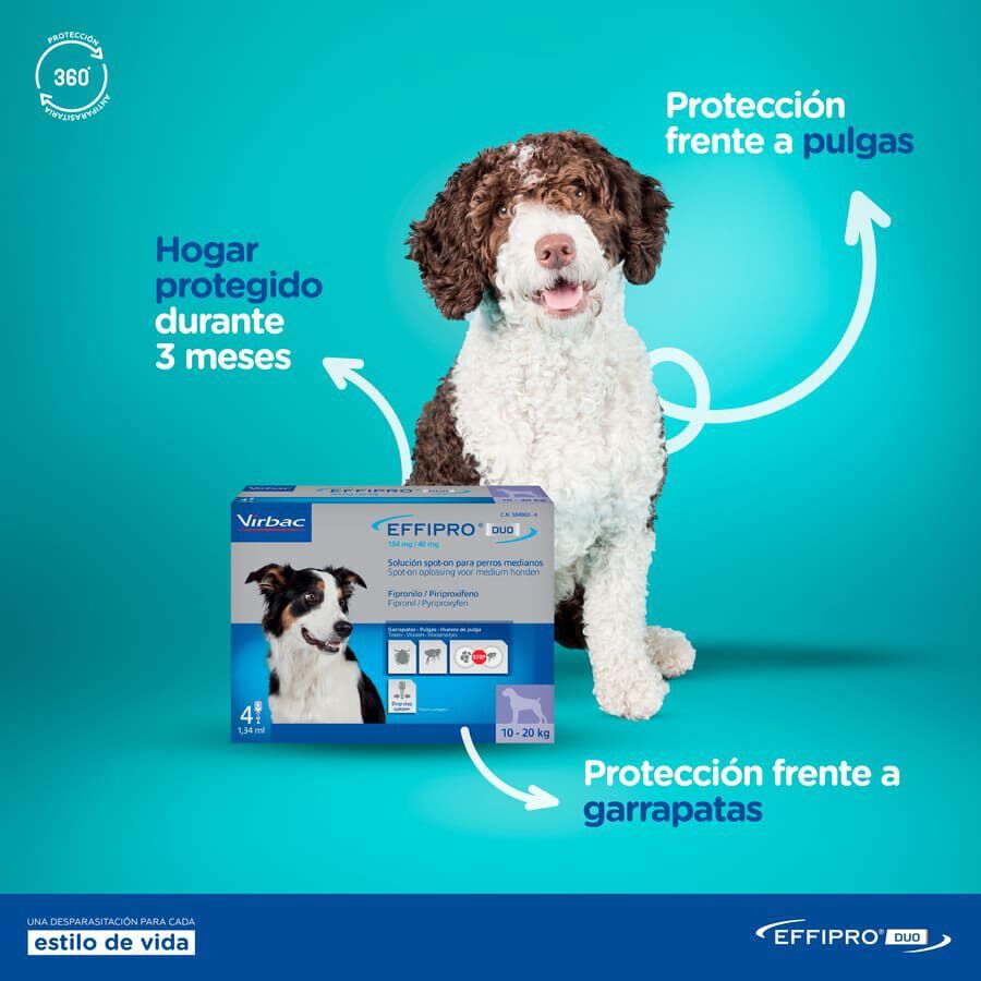 Effipro Duo pipetas antipar&aacute;sitos para perros, , large indicador imagen numero 2