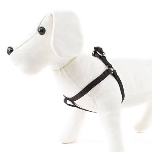 Nayeco Basic arn&eacute;s para perros negro Imagen numero 1