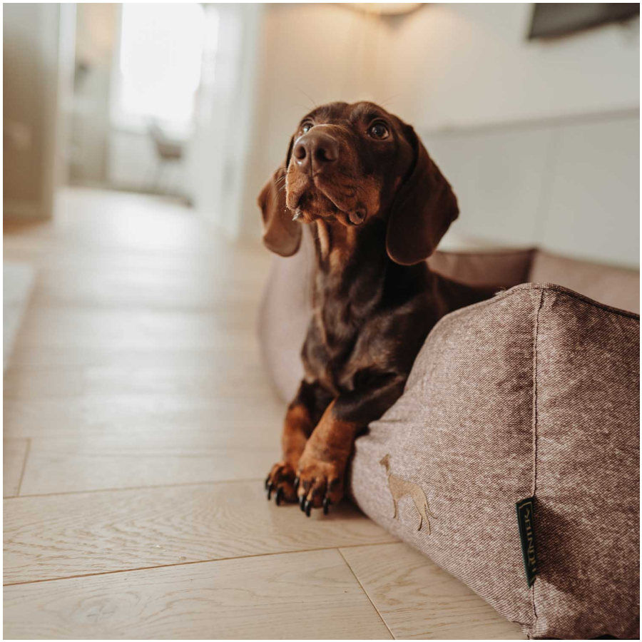 Hunter Boston Cozy Cama Marr&oacute;n para perros, , large indicador imagen numero 6