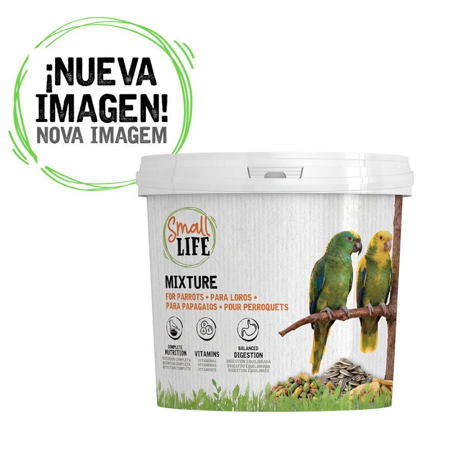2.8 kg Small Life Mixtura Cubos para loros, , large indicador imagen numero 1