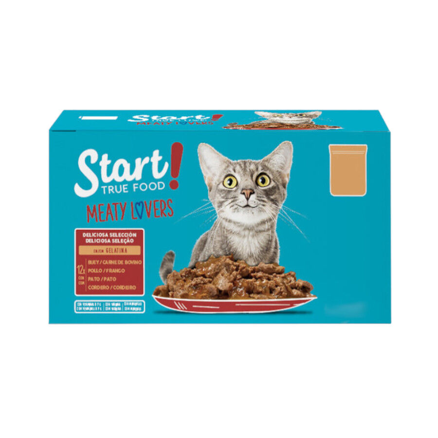 Start Cat Selecci&oacute;n de carnes sobre con gelatina para gatos