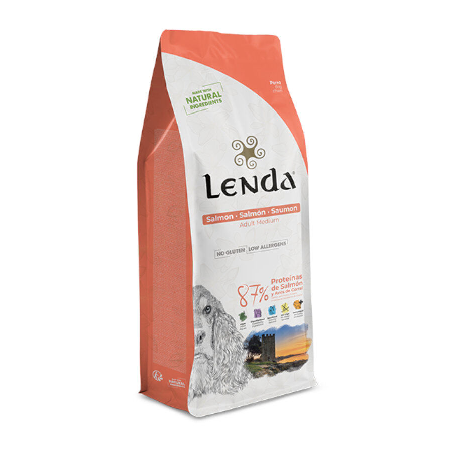 Lenda Original Salm&oacute;n pienso para perros