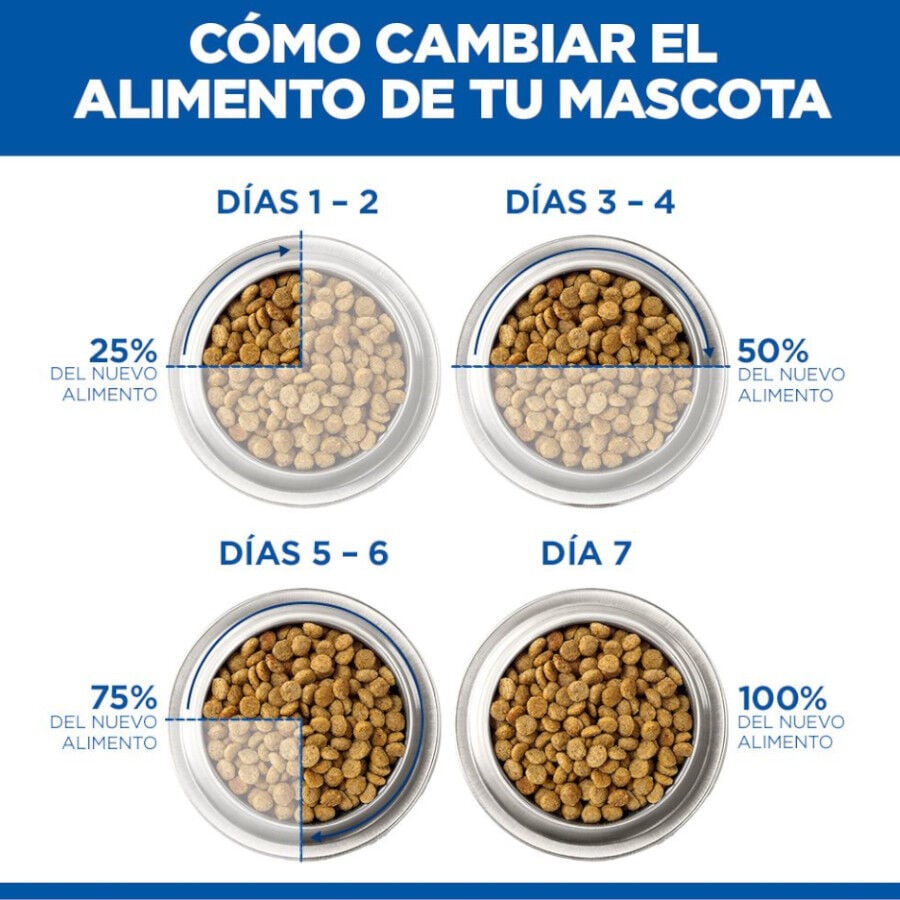 363 g Hill's Science Plan Adult Estofado con vacuno y verduras lata para perros, , large indicador imagen numero 8