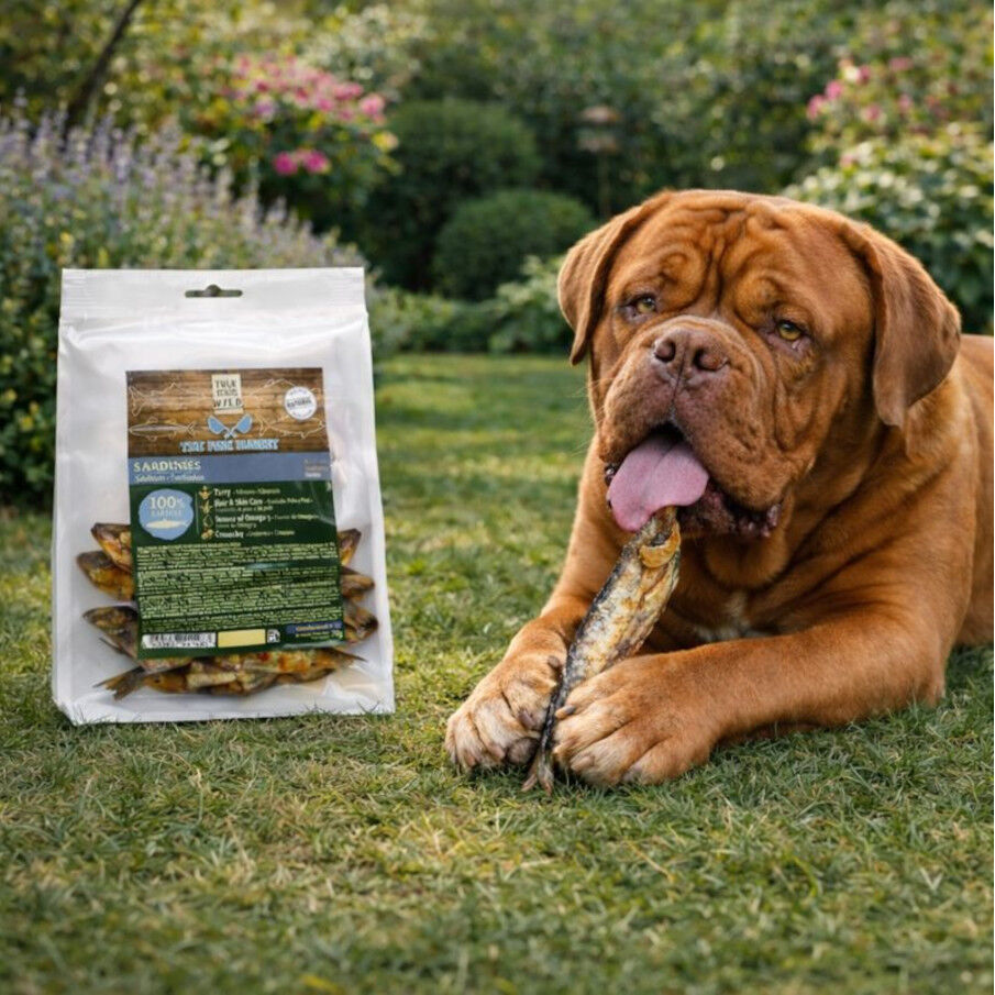 70 g. True Origins Sardinas Snack para perros, , large indicador imagen numero 1