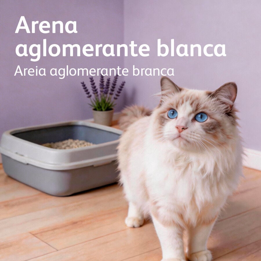 10 L Nova Clean Ultra Lecho Aglomerante Lavanda para gatos, , large indicador imagen numero 6