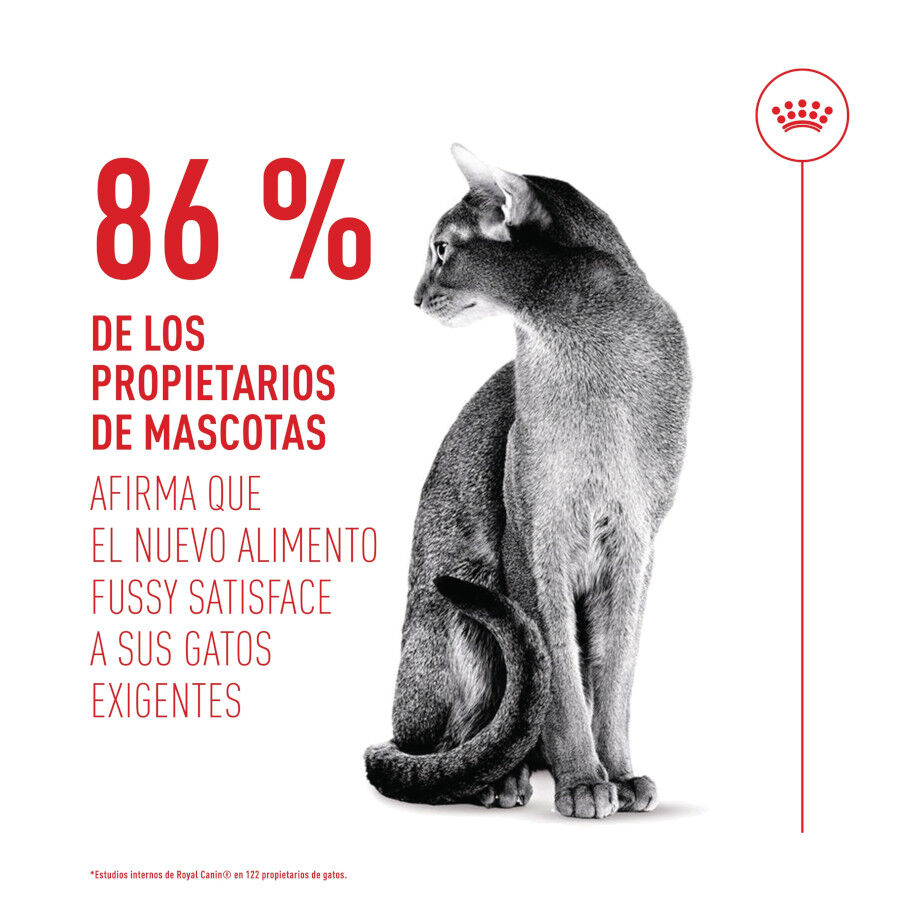 10 kg Royal Canin Fussy Exigent Pienso Ave para gatos, , large Imagen numero 7