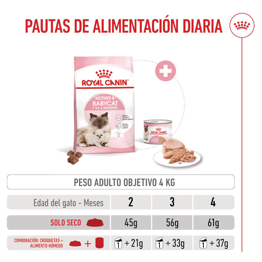 4 kg Royal Canin Mother & Babycat pienso para gatos, , large indicador imagen numero 8