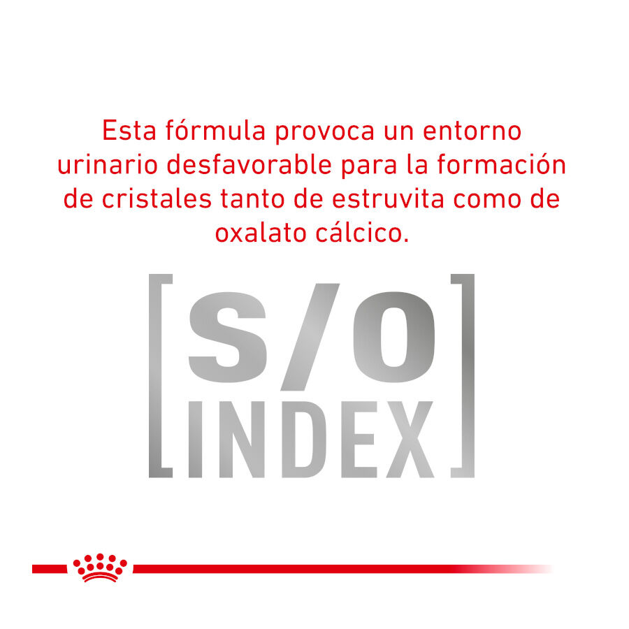 12 sobres x 85 g Royal Canin Adult Veterinary Urinary mousse sobre para gatos, , large indicador imagen numero 4