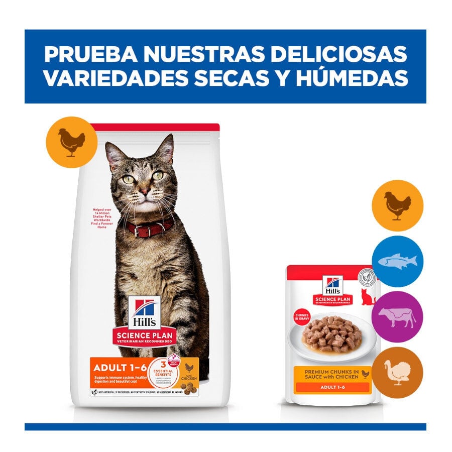 85 g Hill's Science Plan Adult Pollo sobre para gatos, , large Imagen numero 10
