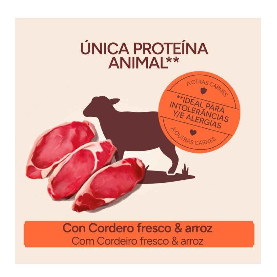 10 kg Criadores Monoproteico Adulto con Cordero pienso para perros, , large indicador imagen numero 3