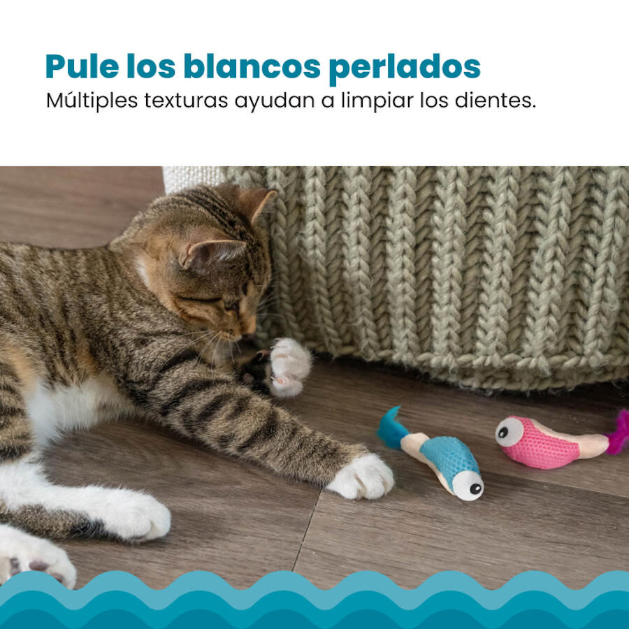 Catstages Dental Shrimpies Peluches con Plumas para gatos, , large indicador imagen numero 6