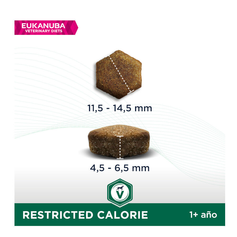 12 kg Eukanuba Veterinary Diets Restricted Calorie pienso para perros, , large indicador imagen numero 2
