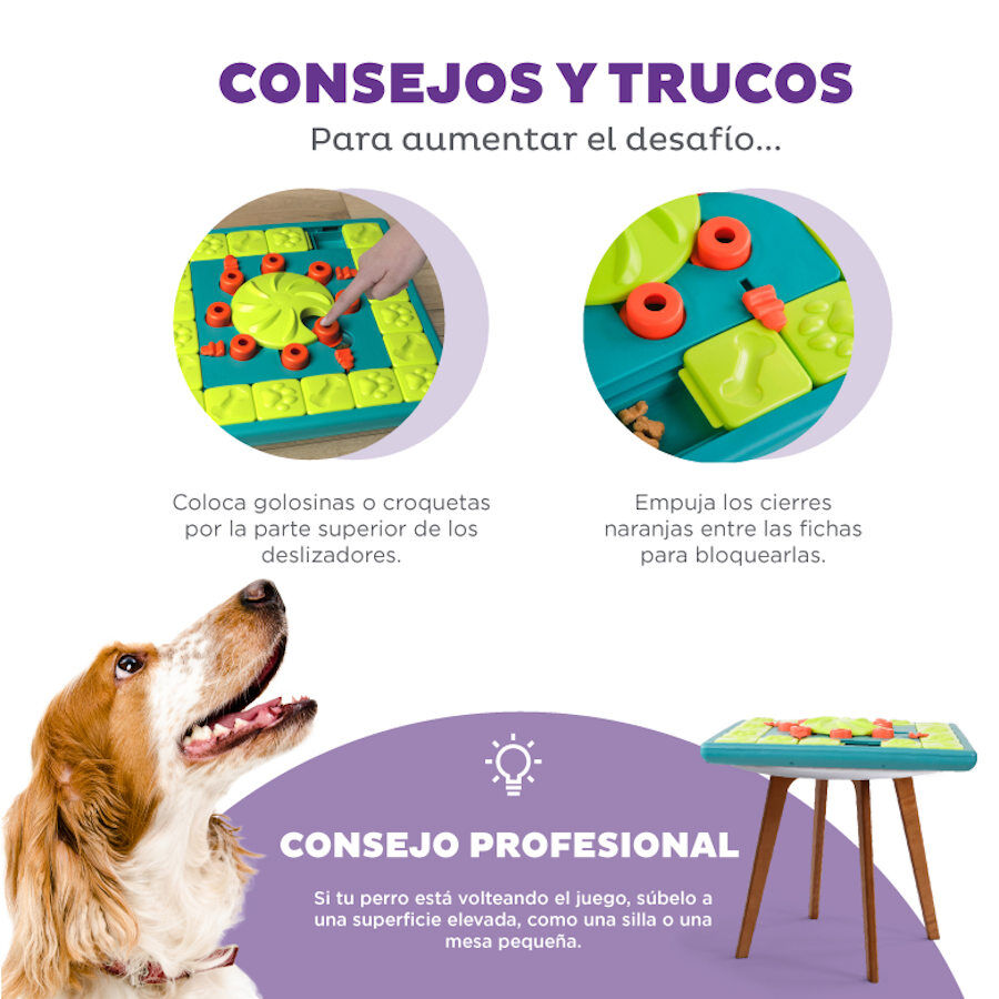 Outward Hound Multi Puzzle de Inteligencia para perros, , large Imagen numero 4