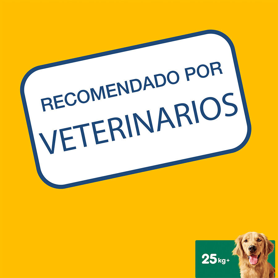 105 barritas Pedigree Dentastix Snacks Dentales para perros grandes, , large indicador imagen numero 8