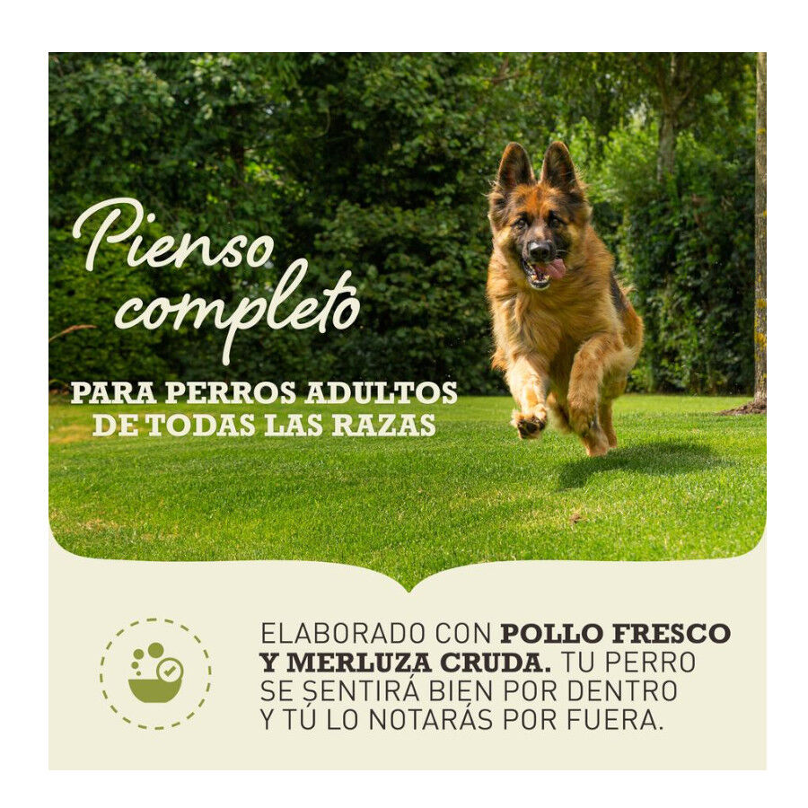11.4 kg Acana Adult Light y Fit pienso para perros, , large Imagen numero 2