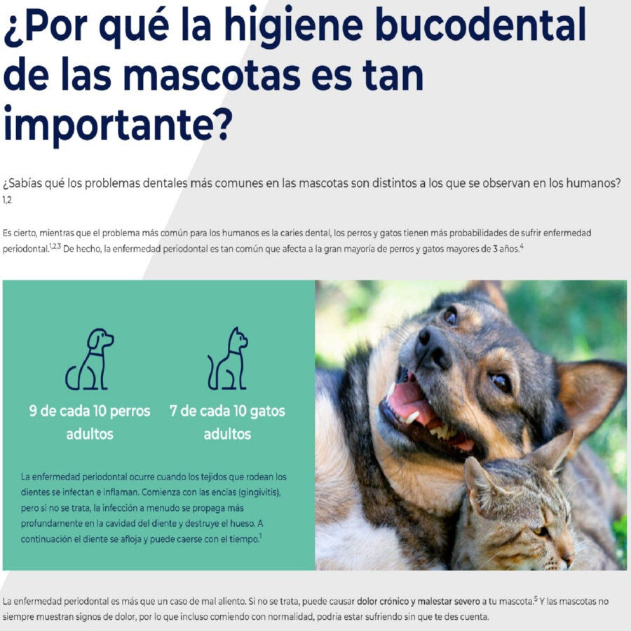 Ecuphar Plaqtiv+ Toallitas Dentales para perros y gatos, , large Imagen numero 2