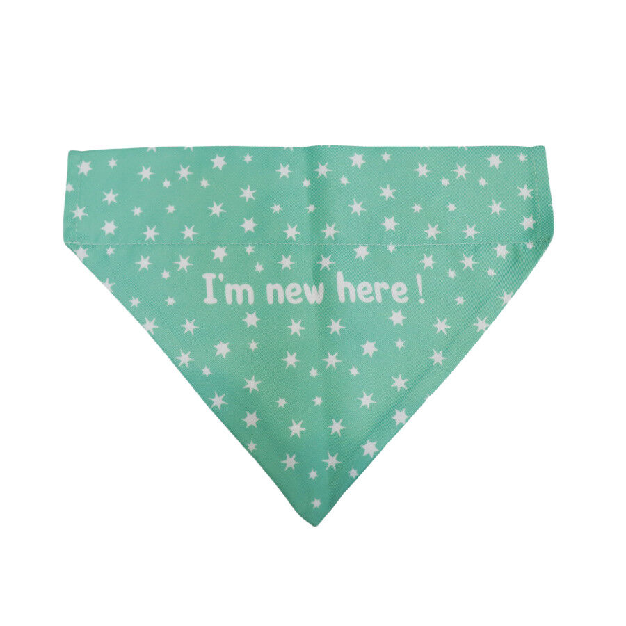 Gotoo Bandana estampada verde para perros, , large indicador imagen numero 1