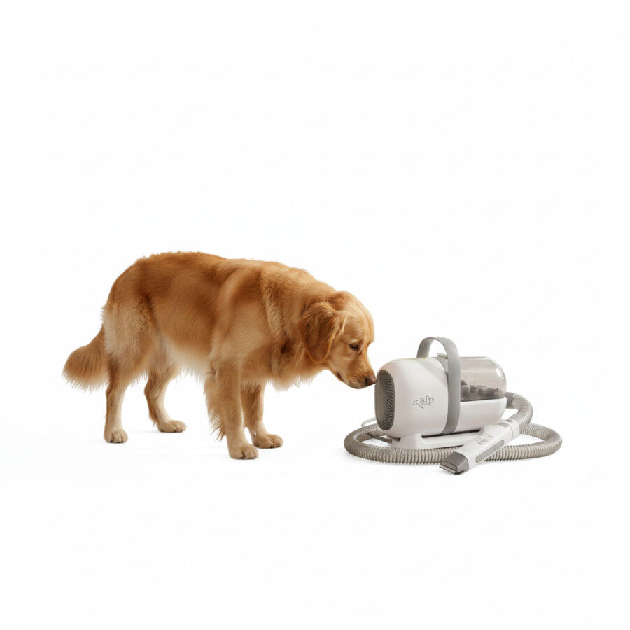 All For Paws Pet Salon Kit Cuidado para perros y gatos