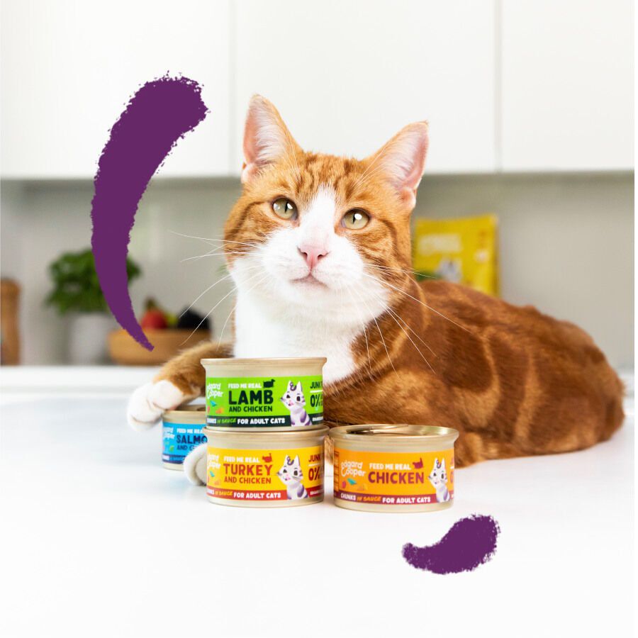85 g Edgard & Cooper Adult Trocitos de Salm&oacute;n y Pollo en Salsa lata para gatos, , large Imagen numero 3