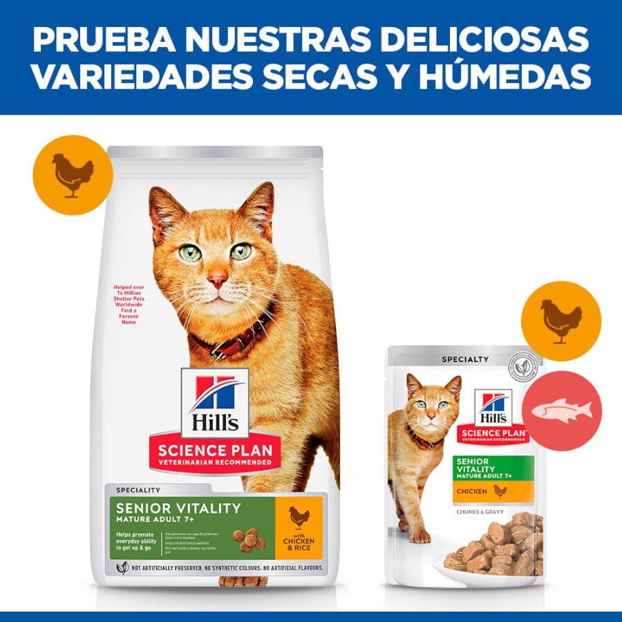 1.5 kg Hill's Science Plan Youthful Vitality Pollo pienso para gatos, , large indicador imagen numero 6