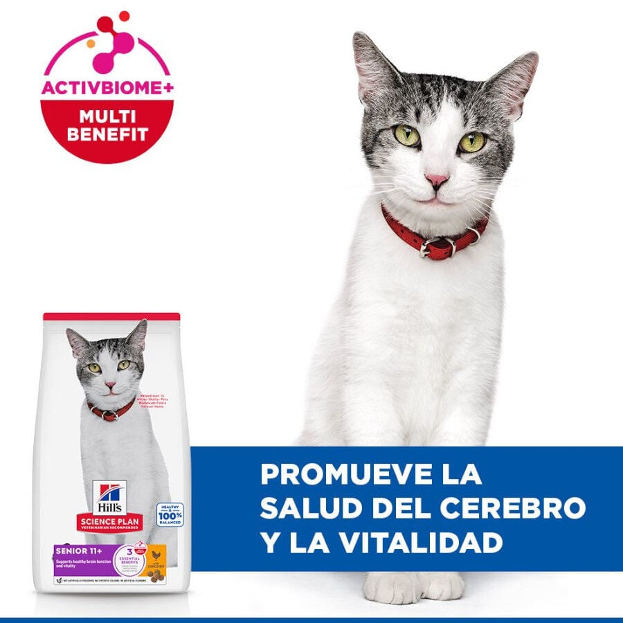 1.5 kg Hill's Science Plan Senior 11+ Pollo Pienso para gatos, , large Imagen numero 4