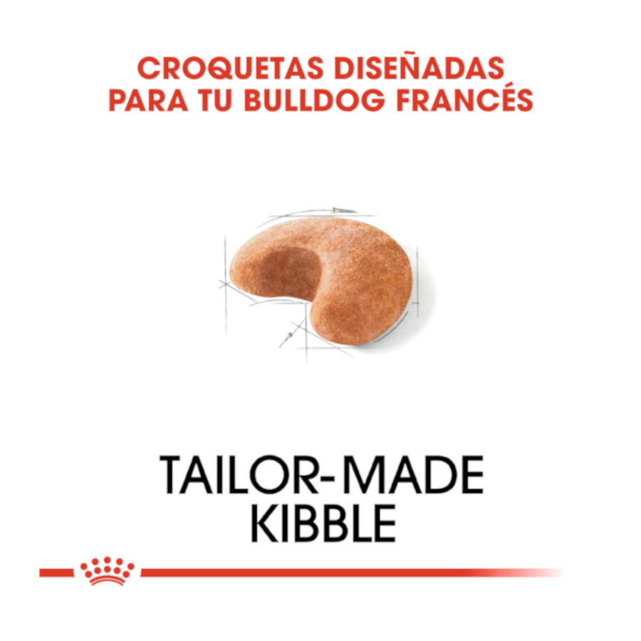 9 kg Royal Canin French Bulldog Adult pienso para perros, , large Imagen numero 5