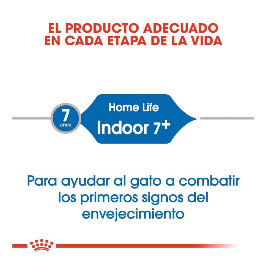 3.5 kg Royal Canin Home Life Indoor 7+ pienso para gatos, , large Imagen numero 6