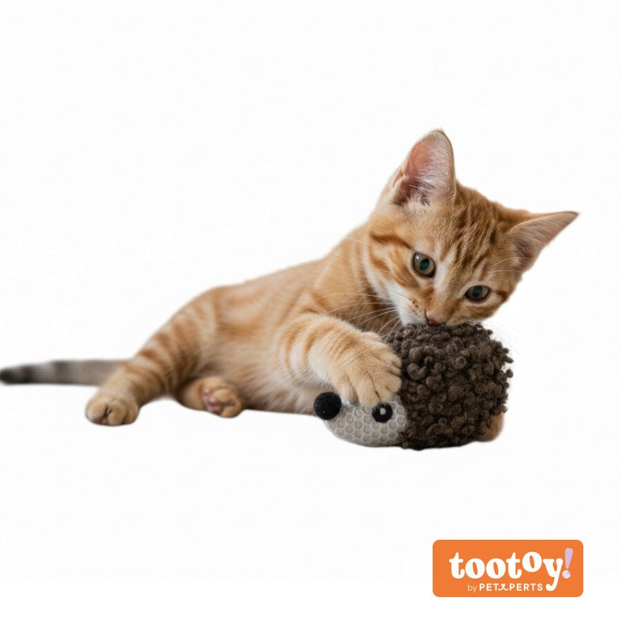 Tootoy! Peluche Suave Herizo para gatos, , large Imagen numero 9