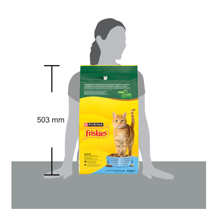 4 kg Purina Friskies Adult Pienso para gatos con salm&oacute;n y verduras, , large indicador imagen numero 7