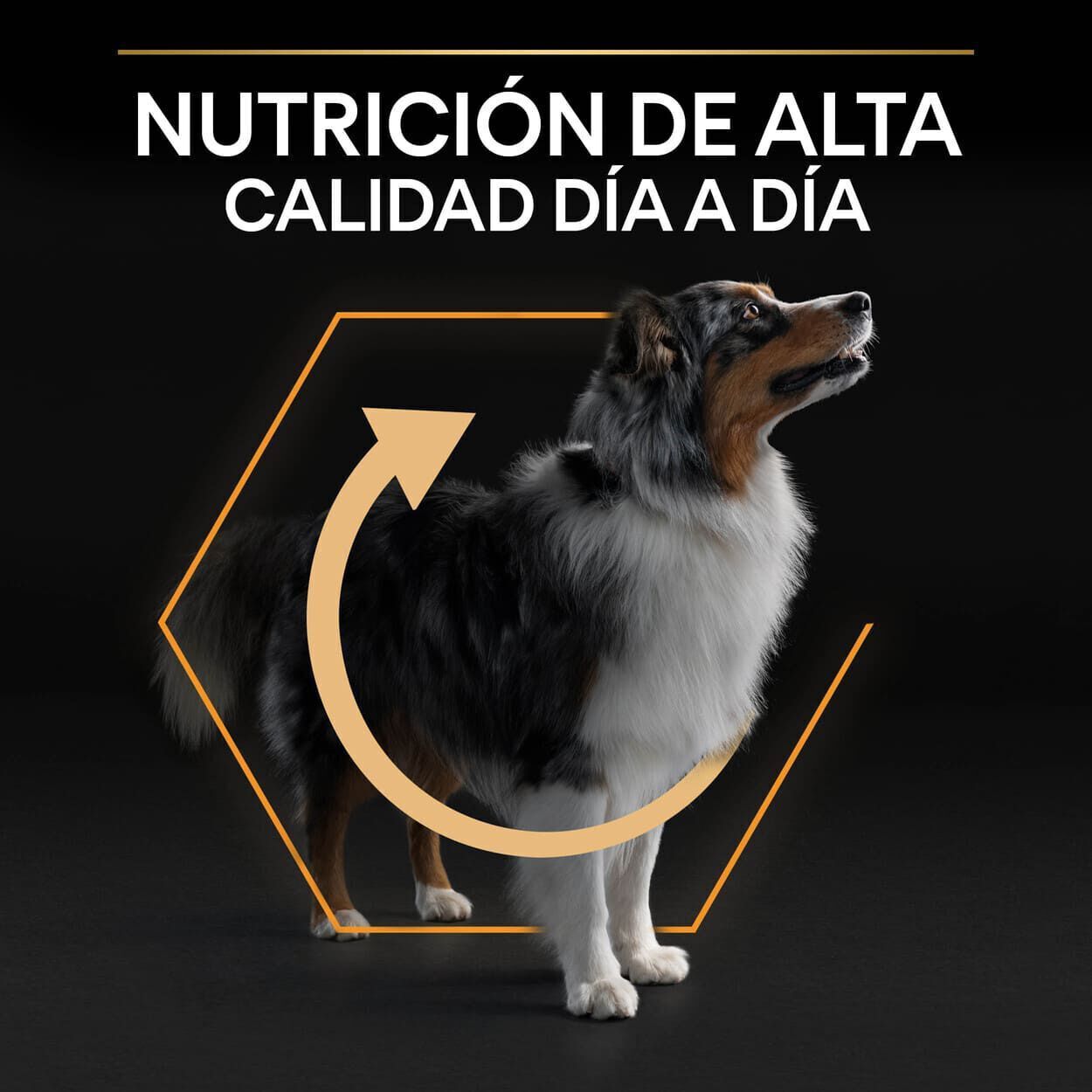 14 kg Pro Plan Medium Adult Pollo pienso para perros, , large Imagen numero 8