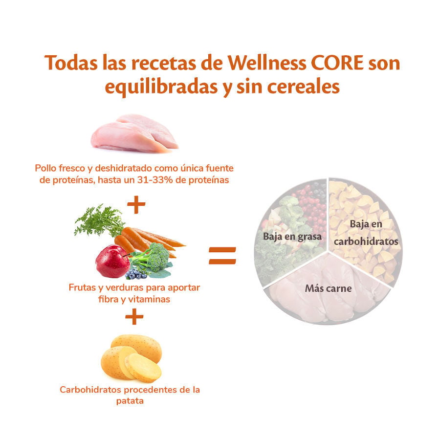 10 kg Wellness Core Puppy Small/Medium Pollo y Pavo pienso para perros, , large indicador imagen numero 4