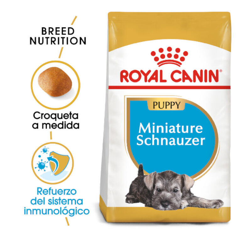 1.5 kg Royal Canin Puppy Miniature Schnauzer pienso para perros, , large indicador imagen numero 1
