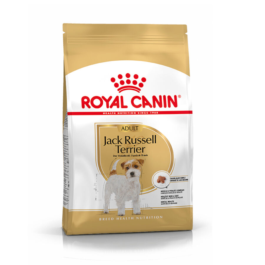 7.5 kg Royal Canin Adult Jack Russell Terrier pienso para perros, , large indicador imagen numero 1