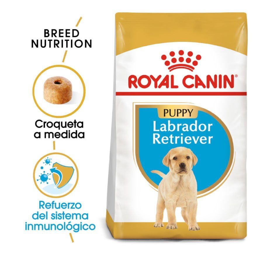 12 kg Royal Canin Puppy Labrador Retriever pienso para perros, , large indicador imagen numero 2