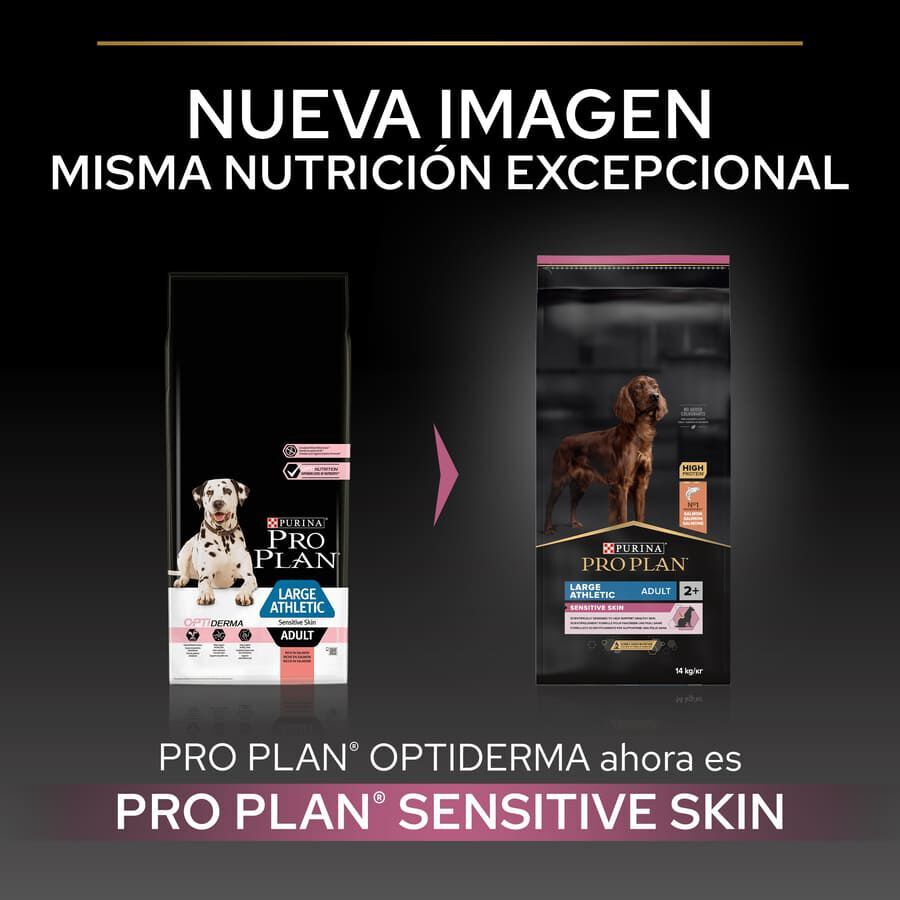 14 kg Pro Plan Large Athletic Adult Salm&oacute;n piel sensible pienso para perros, , large Imagen numero 2