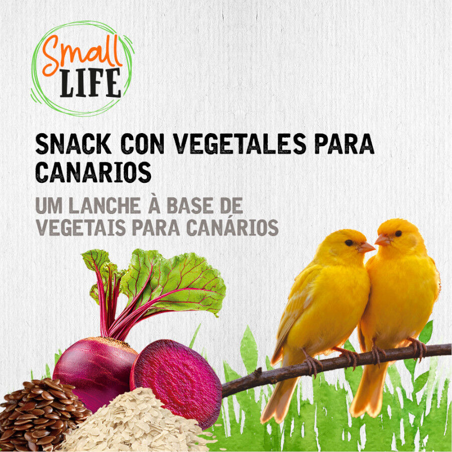 2 barritas Small Life Barritas Snack con Vegetales para canarios, , large indicador imagen numero 4