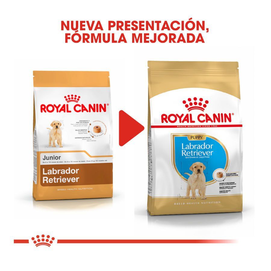 12 kg Royal Canin Puppy Labrador Retriever pienso para perros, , large indicador imagen numero 3