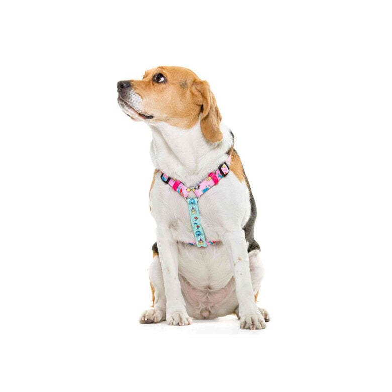 Dukier Cl&aacute;sico Arn&eacute;s Estampado Princesas para perros, , large Imagen numero 2