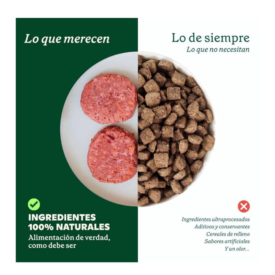 1 kg Wild Balance Barf Men&uacute; salm&oacute;n con verduras comida congelada para perros, , large indicador imagen numero 2