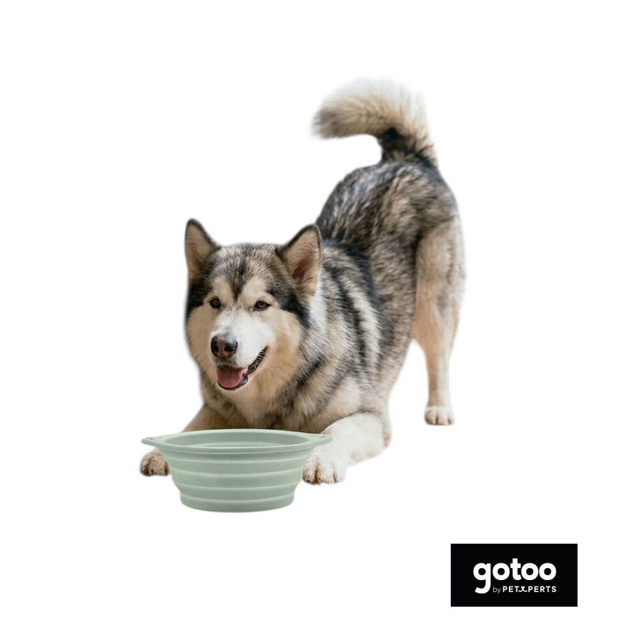 Gotoo Bebedero Plegable y Port&aacute;til de Silicona para perros y gatos, , large indicador imagen numero 7