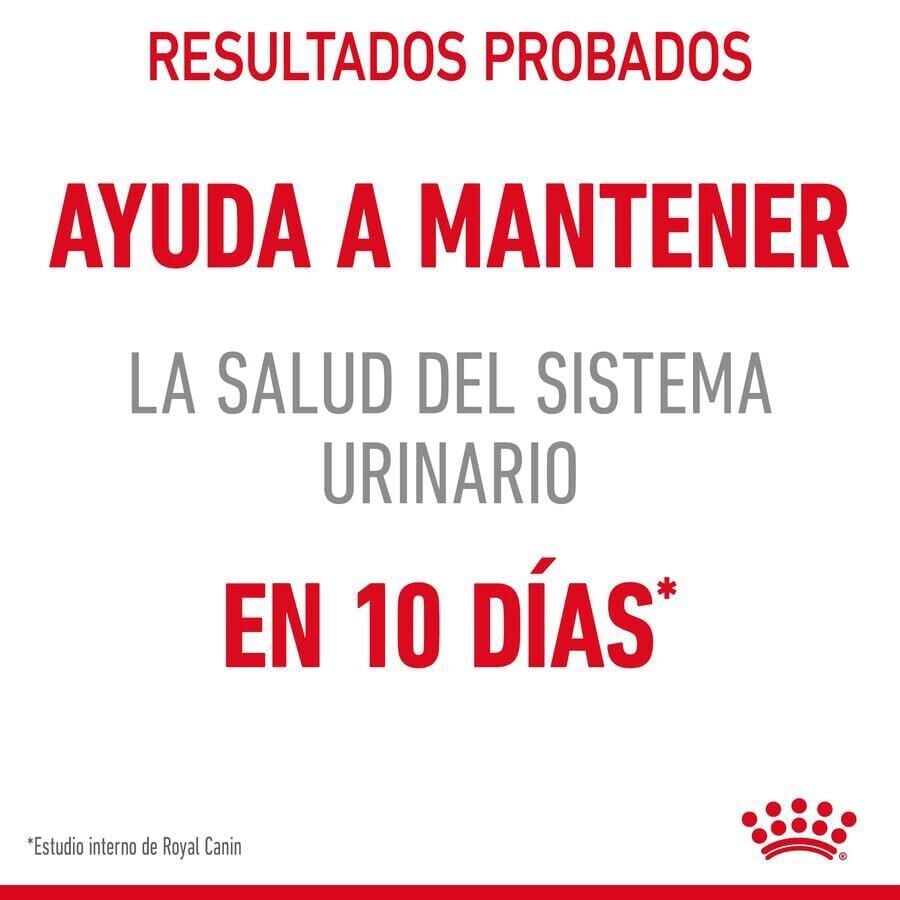 10 kg Royal Canin Urinary pienso para gatos, , large Imagen numero 5
