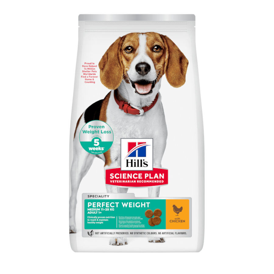 12 kg Hill's Science Plan Perfect Weight Adult Medium Pollo pienso para perros, , large indicador imagen numero 1